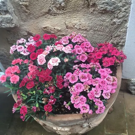 Casa Delle Conce Konukevi Orvieto